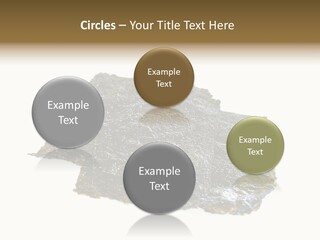 Roe Crispy Health PowerPoint Template