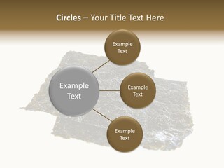 Roe Crispy Health PowerPoint Template