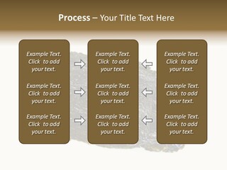Roe Crispy Health PowerPoint Template