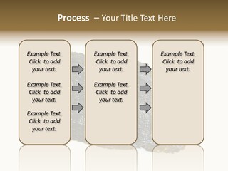 Roe Crispy Health PowerPoint Template
