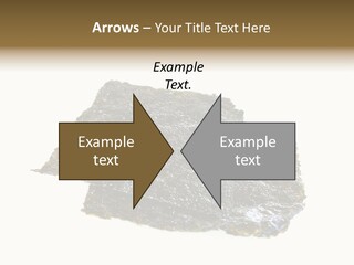 Roe Crispy Health PowerPoint Template