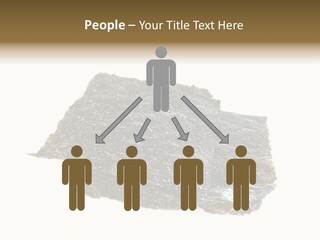 Roe Crispy Health PowerPoint Template