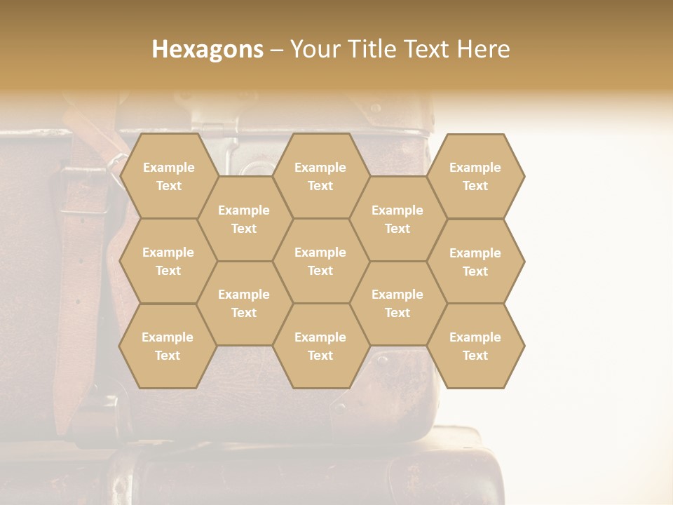 Trendy Leather Style PowerPoint Template