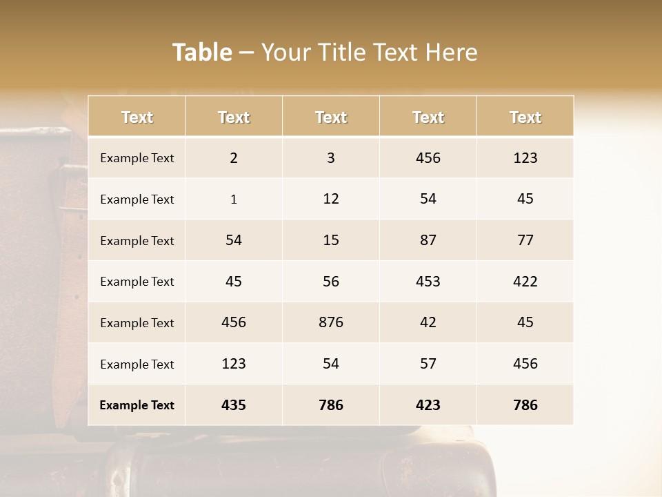 Trendy Leather Style PowerPoint Template