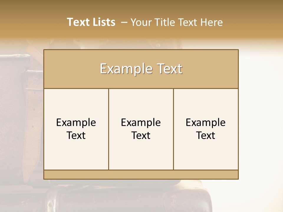 Trendy Leather Style PowerPoint Template
