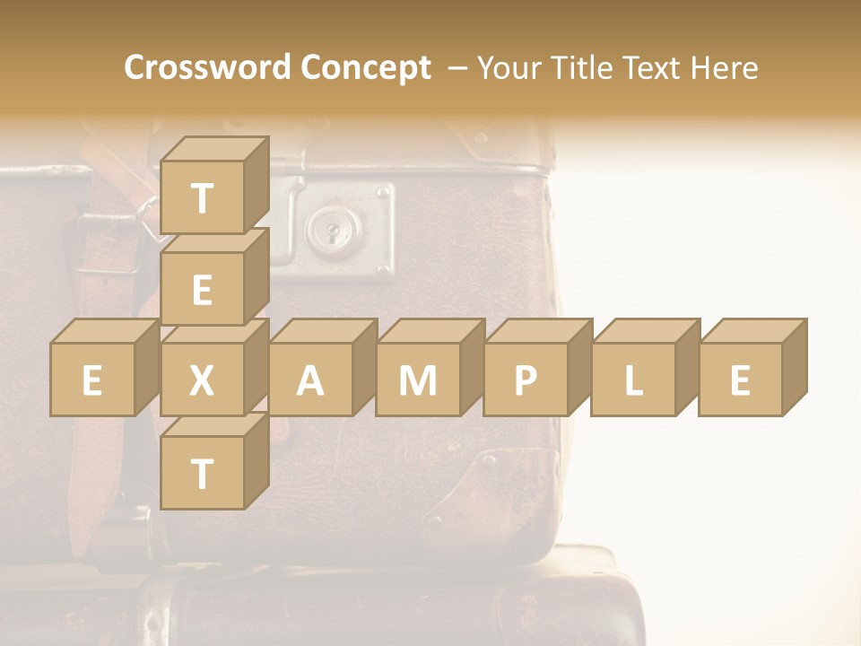 Trendy Leather Style PowerPoint Template