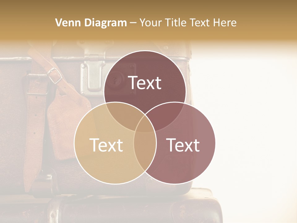 Trendy Leather Style PowerPoint Template