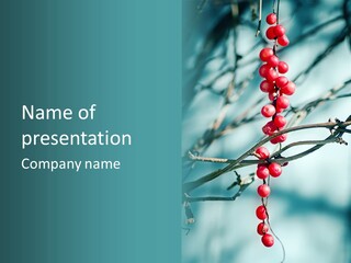 Season Schisandra East PowerPoint Template