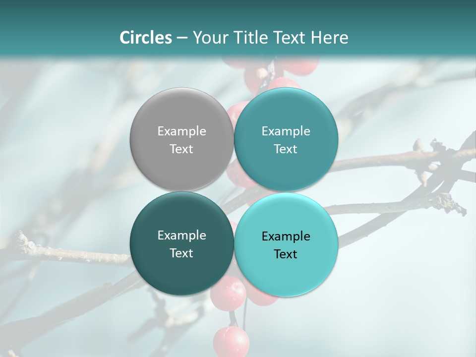 Season Schisandra East PowerPoint Template