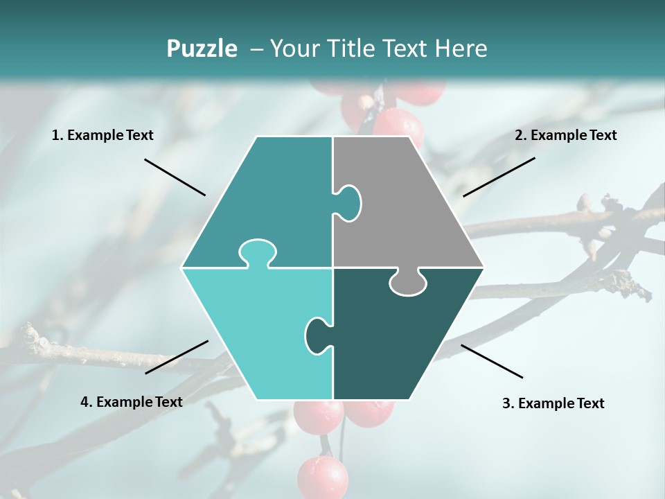 Season Schisandra East PowerPoint Template