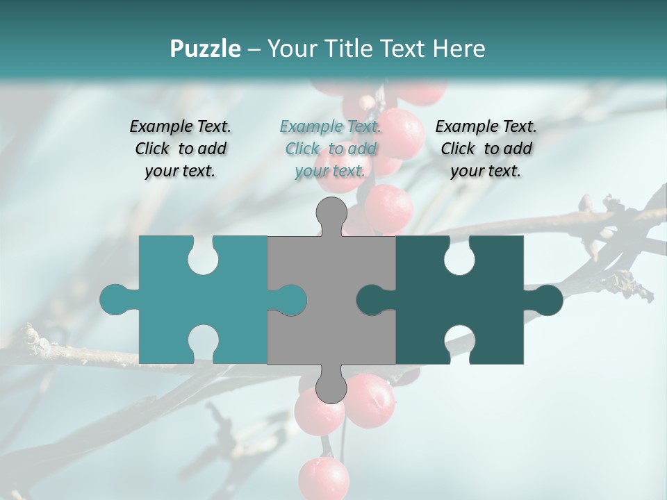 Season Schisandra East PowerPoint Template