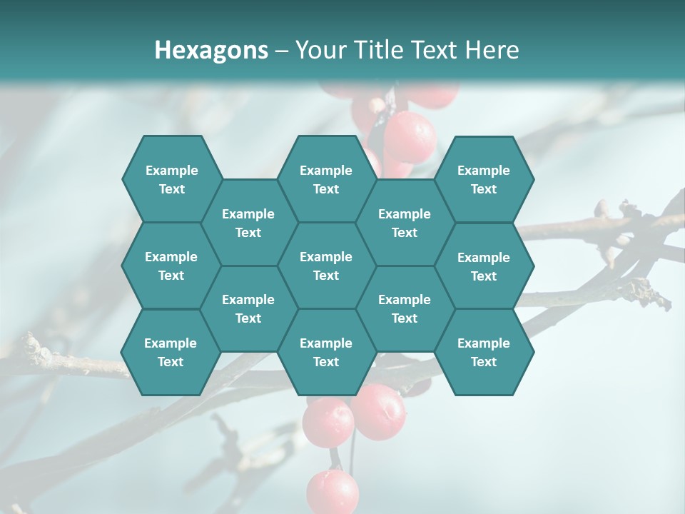 Season Schisandra East PowerPoint Template