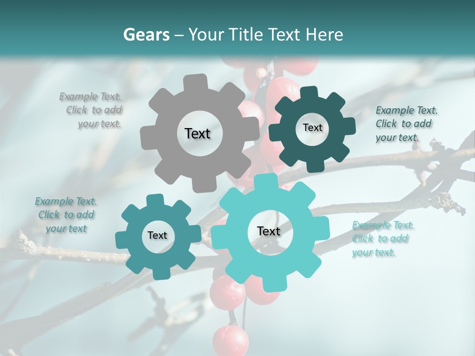 Season Schisandra East PowerPoint Template