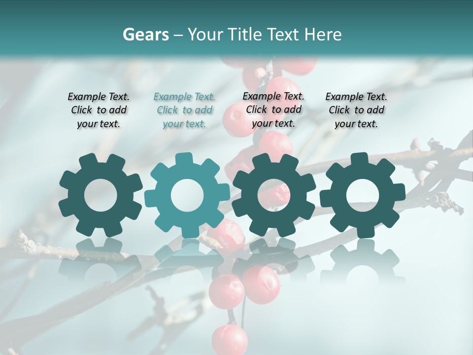 Season Schisandra East PowerPoint Template