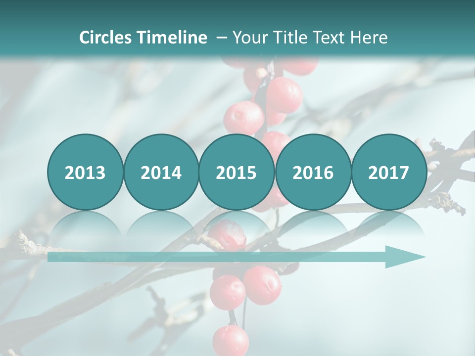 Season Schisandra East PowerPoint Template