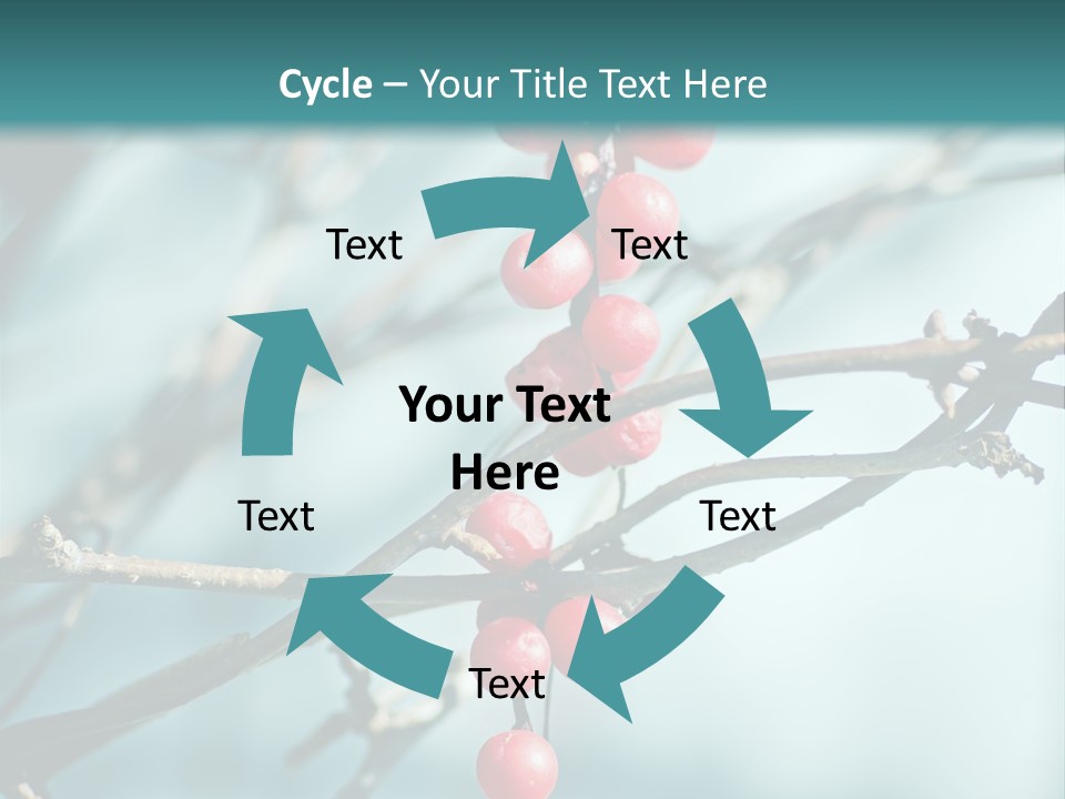 Season Schisandra East PowerPoint Template