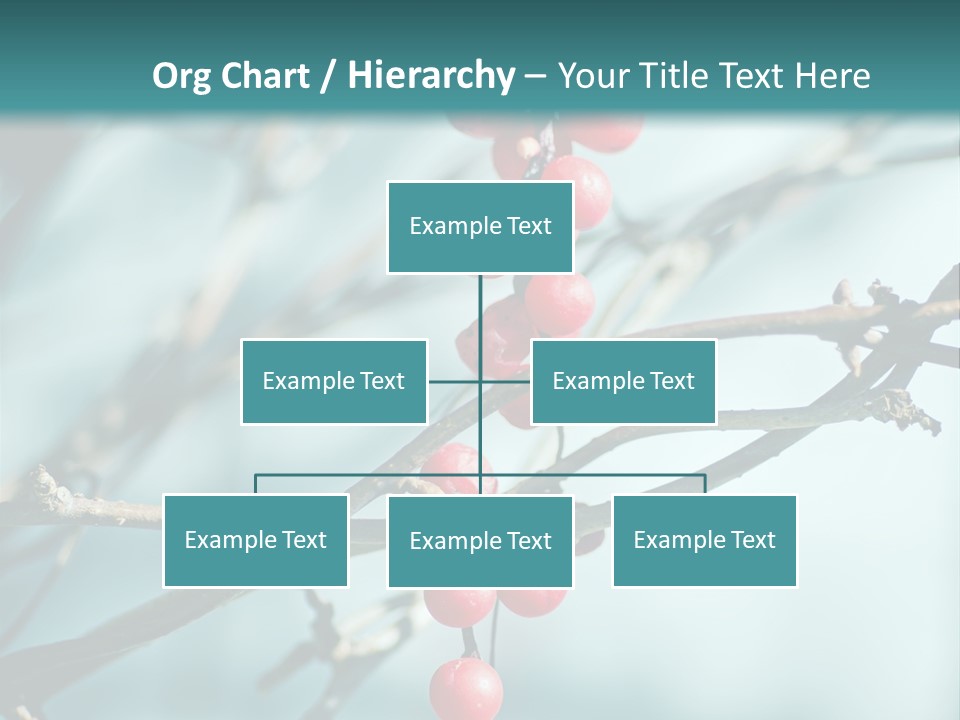 Season Schisandra East PowerPoint Template