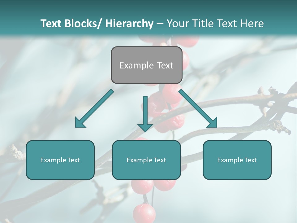Season Schisandra East PowerPoint Template