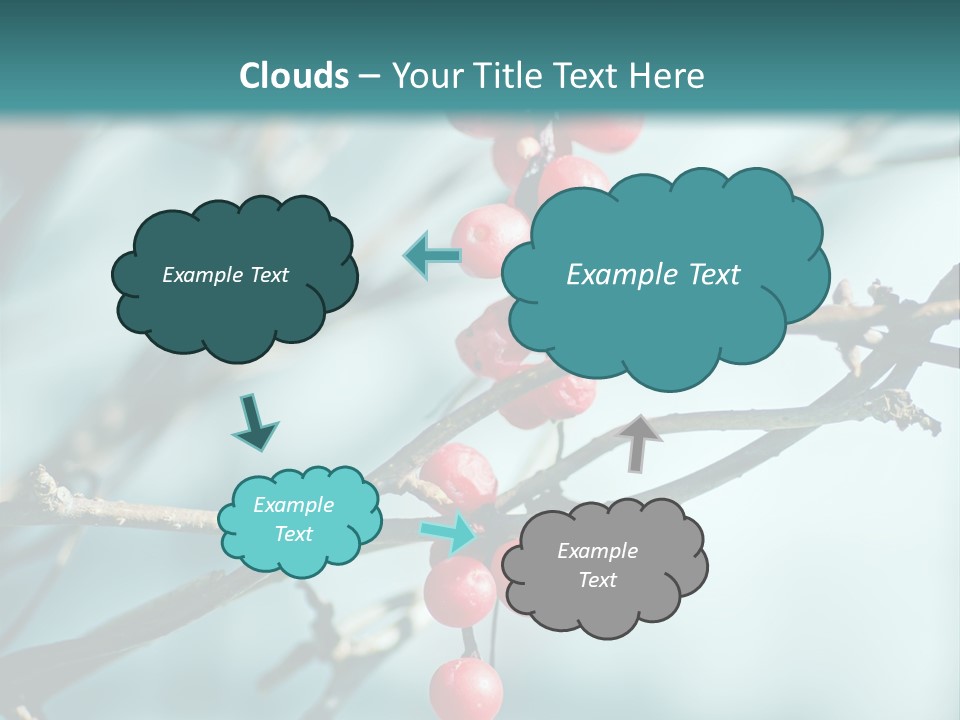 Season Schisandra East PowerPoint Template