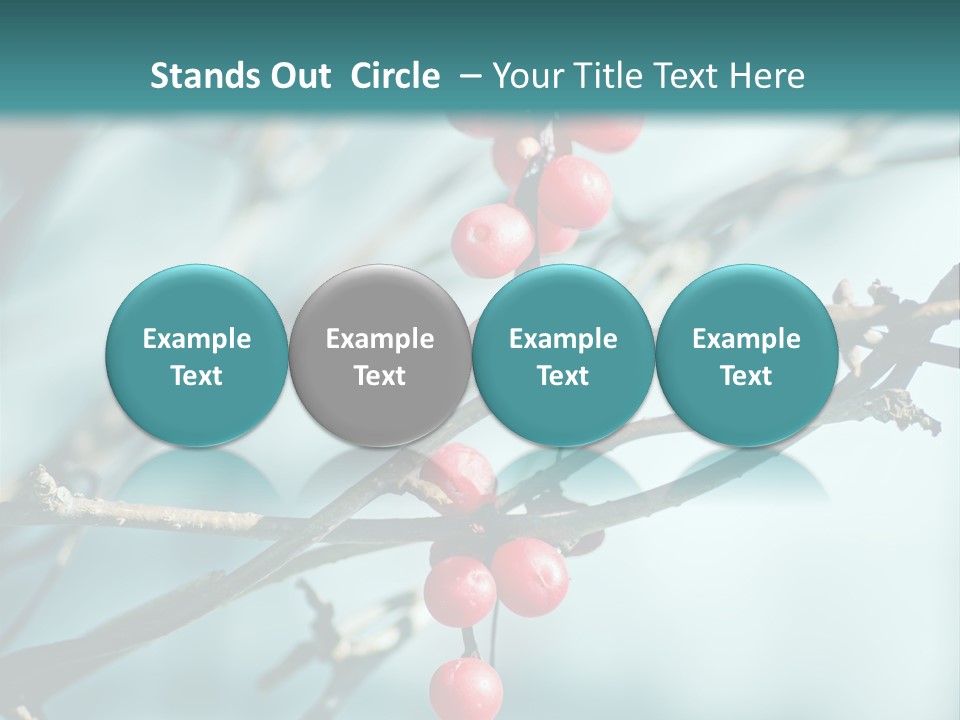 Season Schisandra East PowerPoint Template