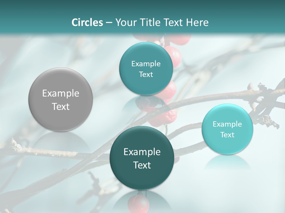 Season Schisandra East PowerPoint Template