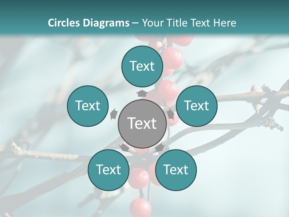 Season Schisandra East PowerPoint Template