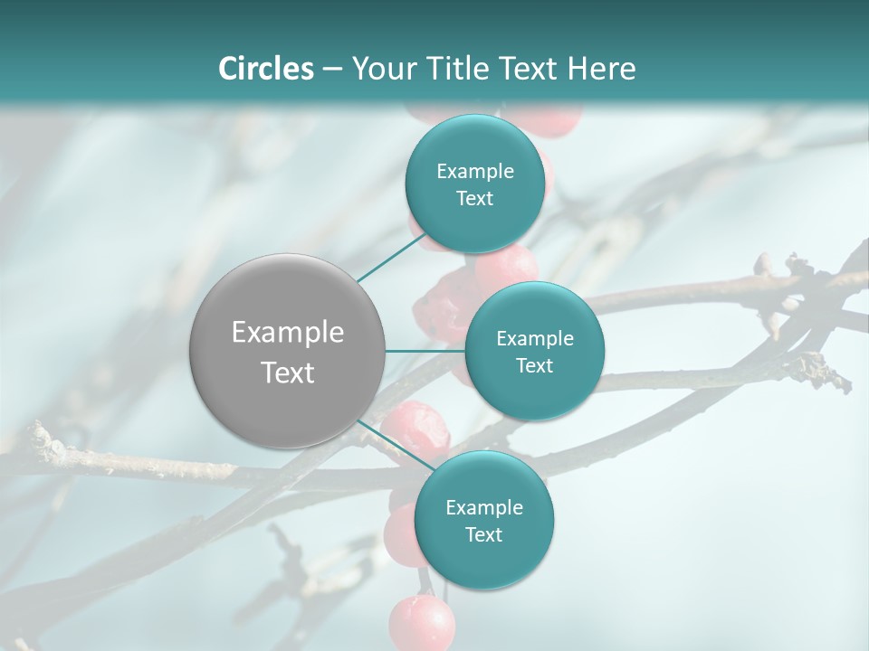 Season Schisandra East PowerPoint Template