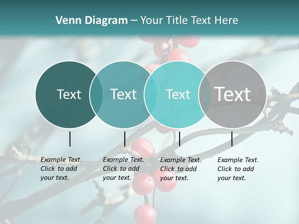 Season Schisandra East PowerPoint Template