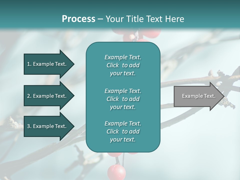 Season Schisandra East PowerPoint Template