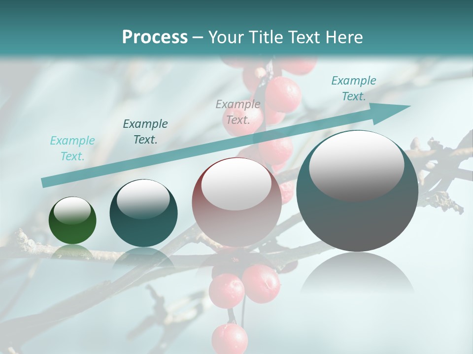 Season Schisandra East PowerPoint Template