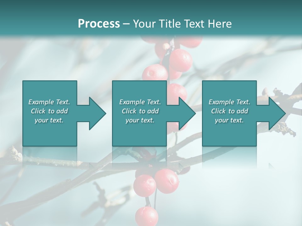 Season Schisandra East PowerPoint Template