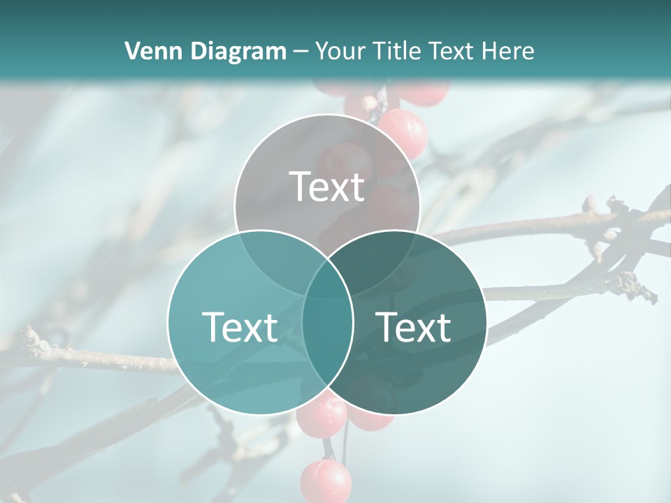 Season Schisandra East PowerPoint Template