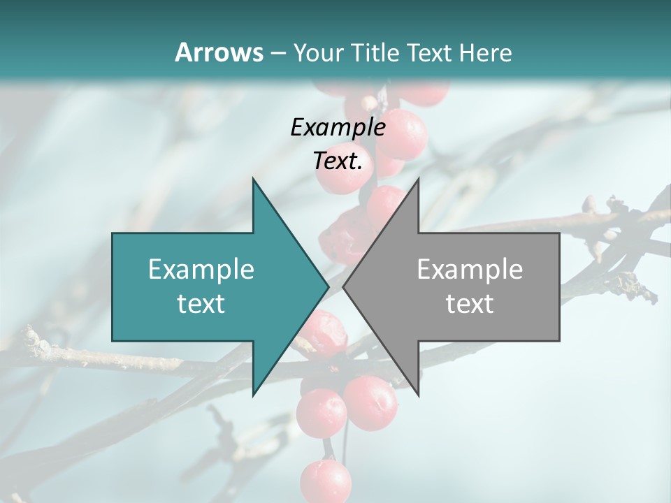 Season Schisandra East PowerPoint Template