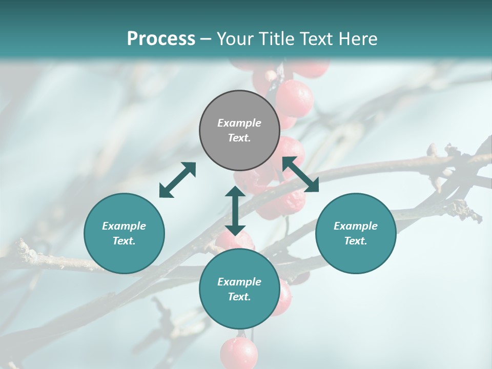 Season Schisandra East PowerPoint Template