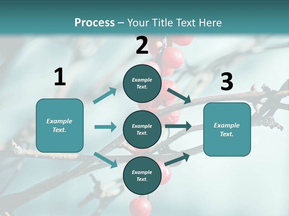 Season Schisandra East PowerPoint Template