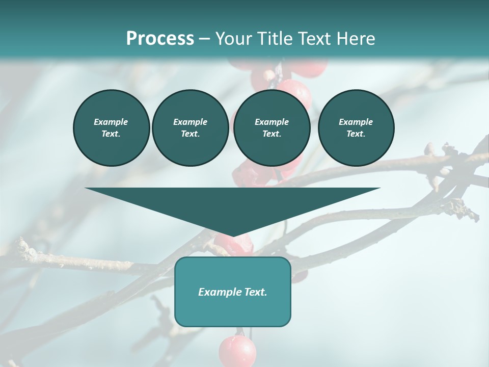 Season Schisandra East PowerPoint Template