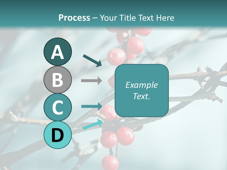 Season Schisandra East PowerPoint Template