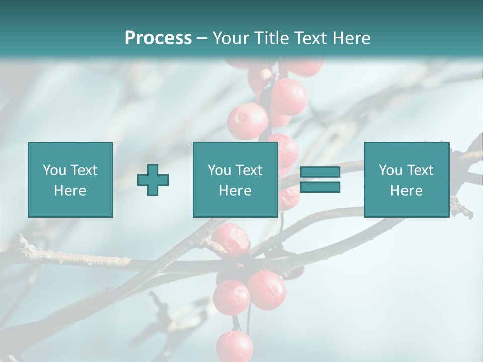 Season Schisandra East PowerPoint Template
