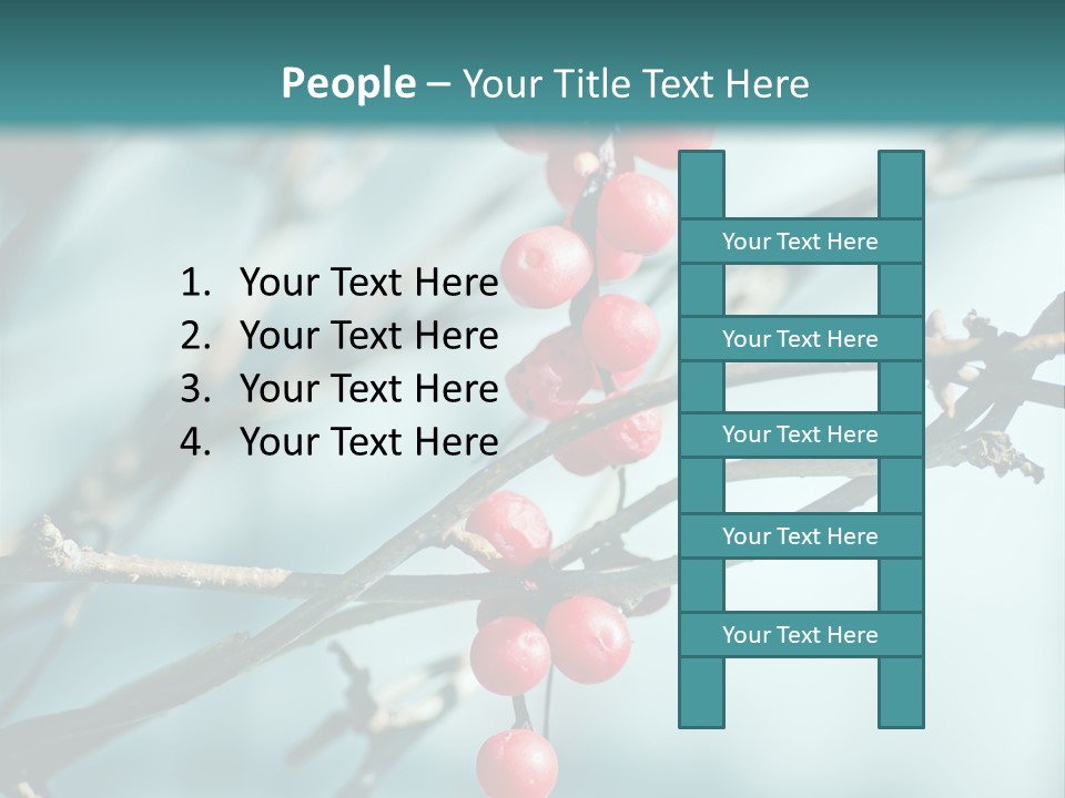 Season Schisandra East PowerPoint Template
