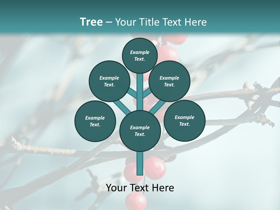 Season Schisandra East PowerPoint Template