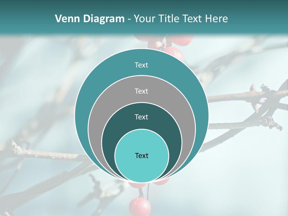 Season Schisandra East PowerPoint Template