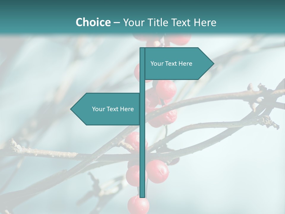 Season Schisandra East PowerPoint Template