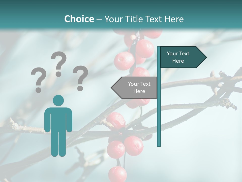 Season Schisandra East PowerPoint Template