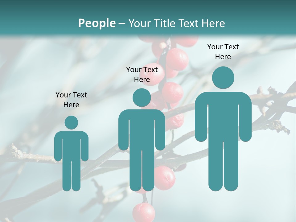 Season Schisandra East PowerPoint Template