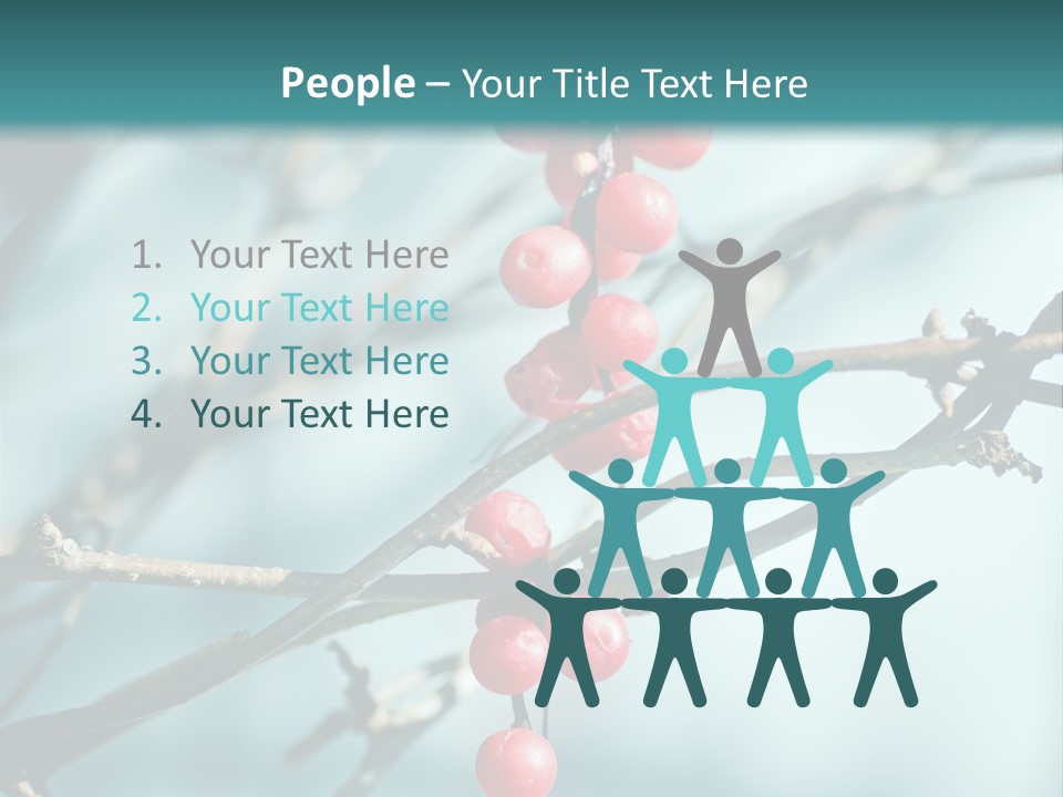 Season Schisandra East PowerPoint Template