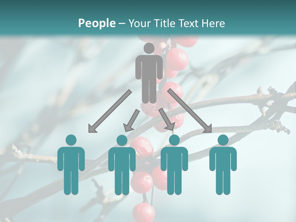 Season Schisandra East PowerPoint Template