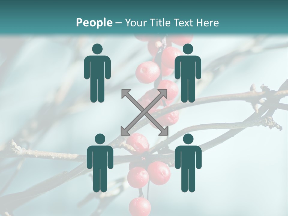 Season Schisandra East PowerPoint Template
