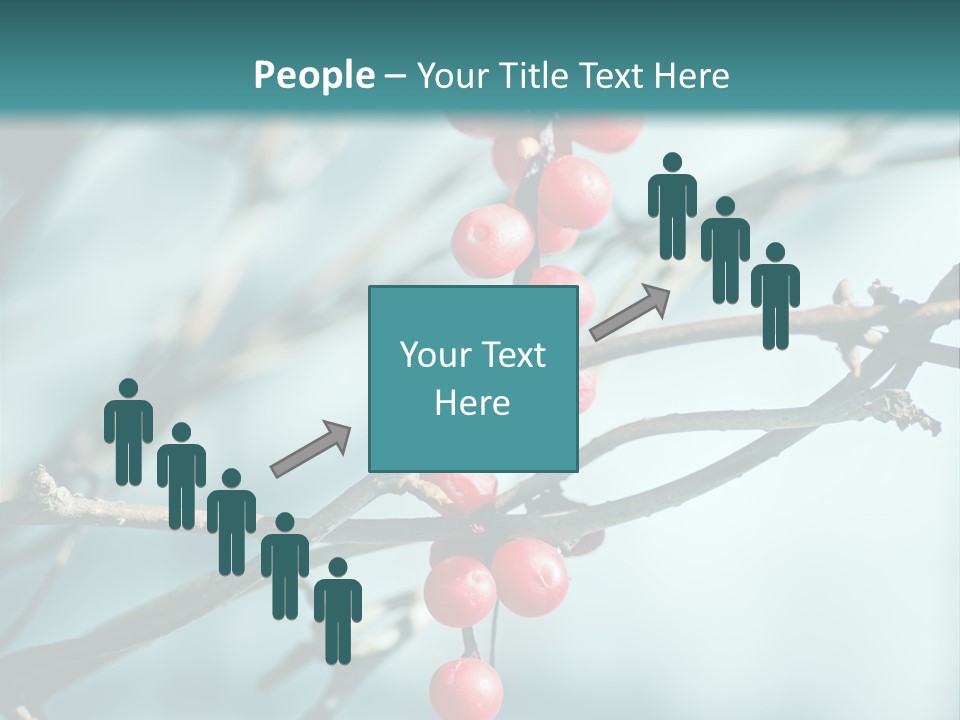 Season Schisandra East PowerPoint Template