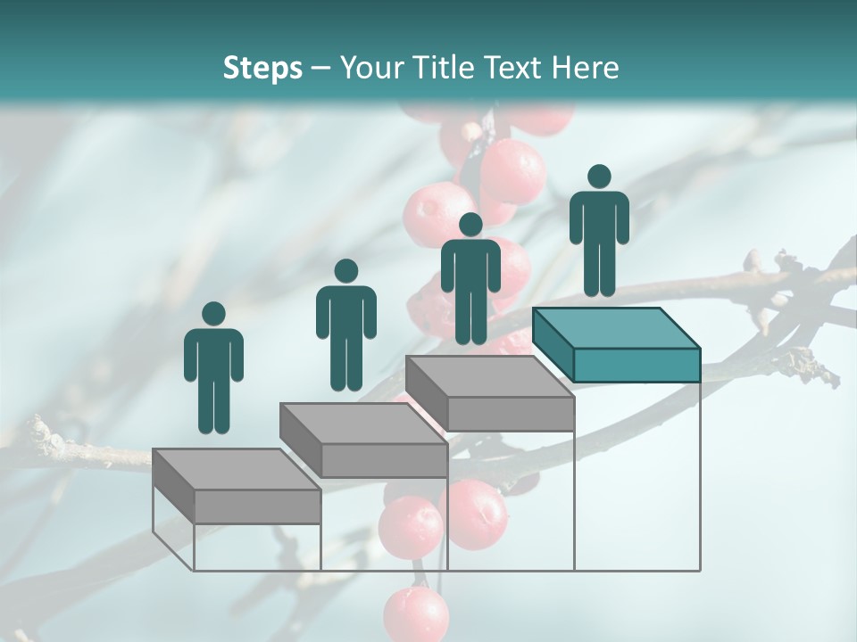 Season Schisandra East PowerPoint Template