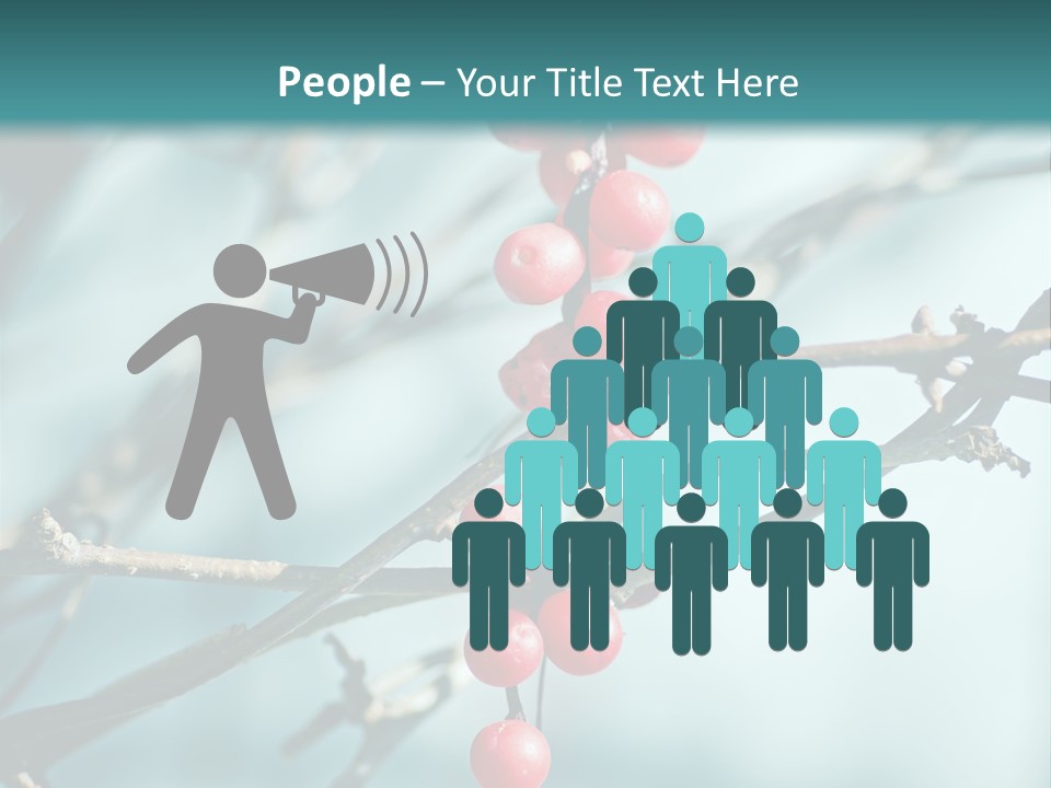 Season Schisandra East PowerPoint Template